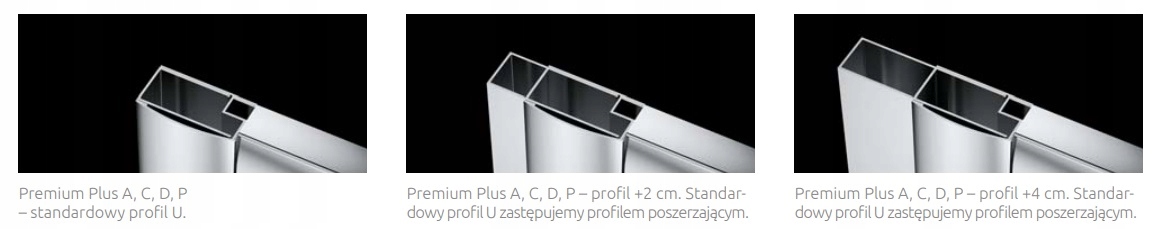 Kabina Premium Plus A 100x100x190 RADAWAY Linia Premium Plus A 1900