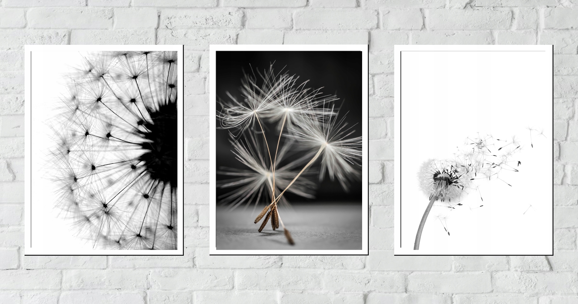 ZESTAW 50x40 RAMKA PLAKAT OBRAZ DMUCHAWCE MLECZ Marka inna