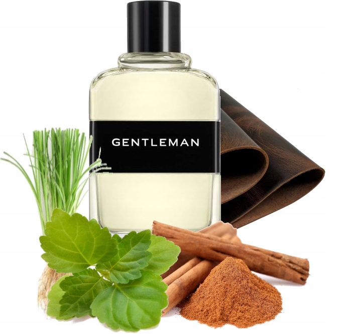 GENTLEMAN Perfumy Męskie 100ml EDT