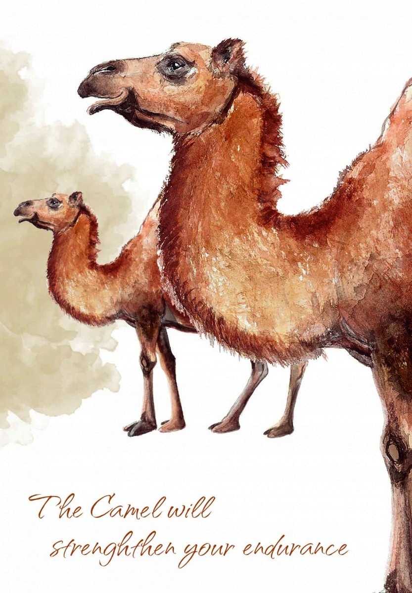 CARTAMUNDI Karty Tarot Power Animal Cards Wiek gracza 18+