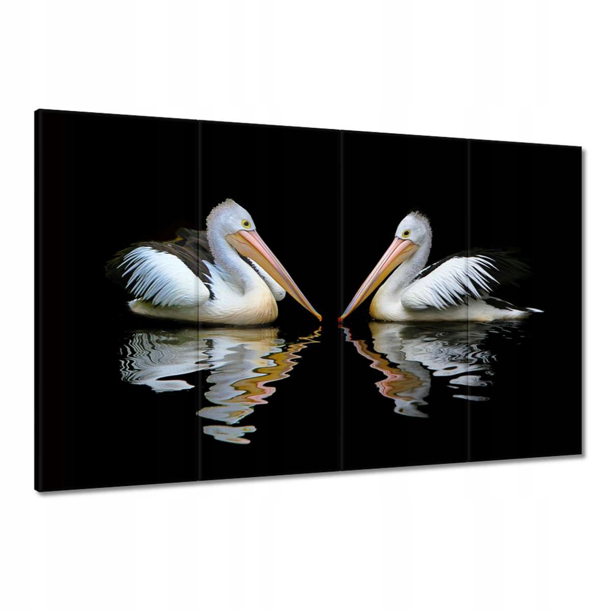 Obrazy 120x80 Kormoráni
