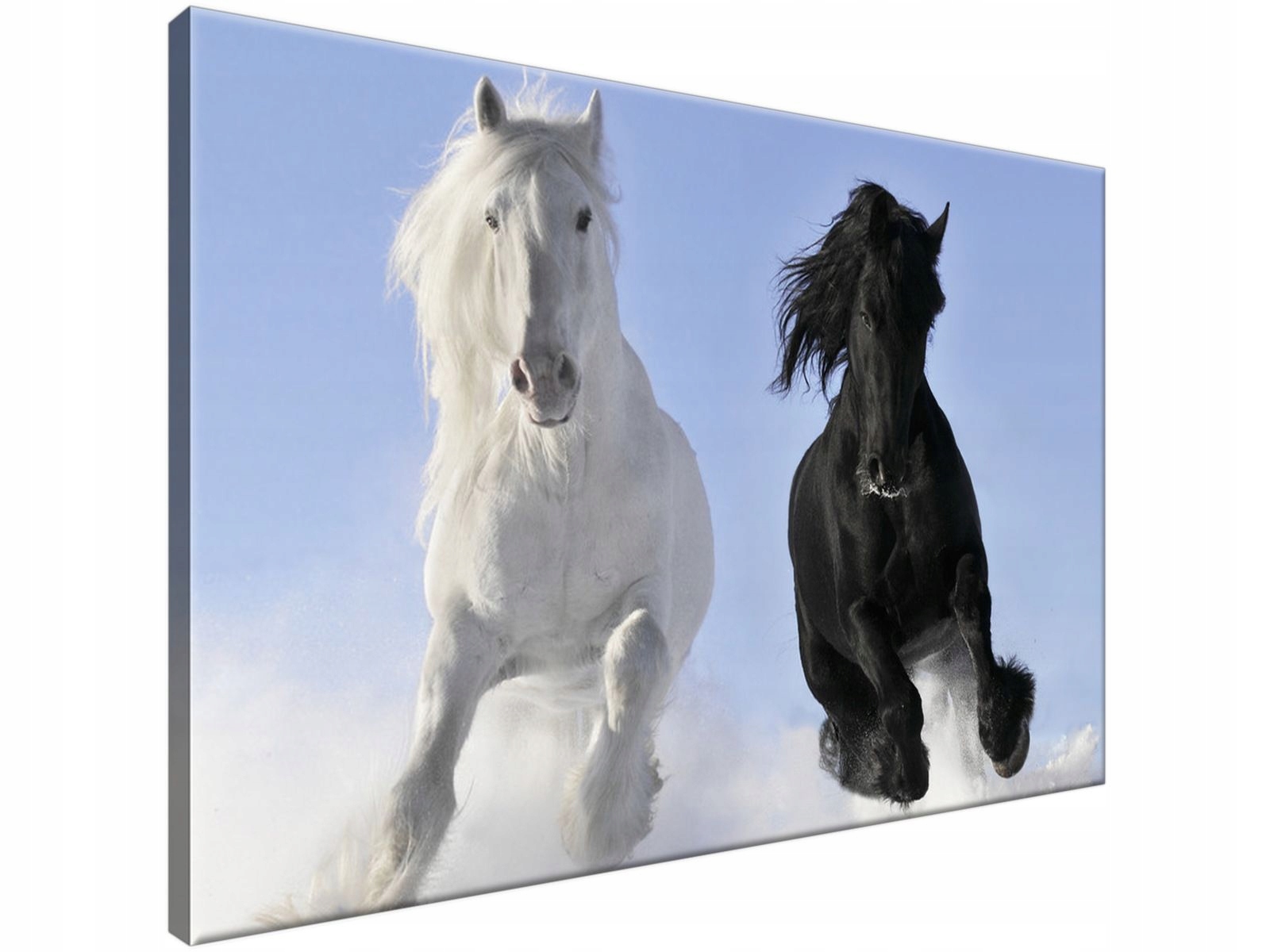 

Obraz drukowany Black and wPIĘKNYe 90x60 Piękny