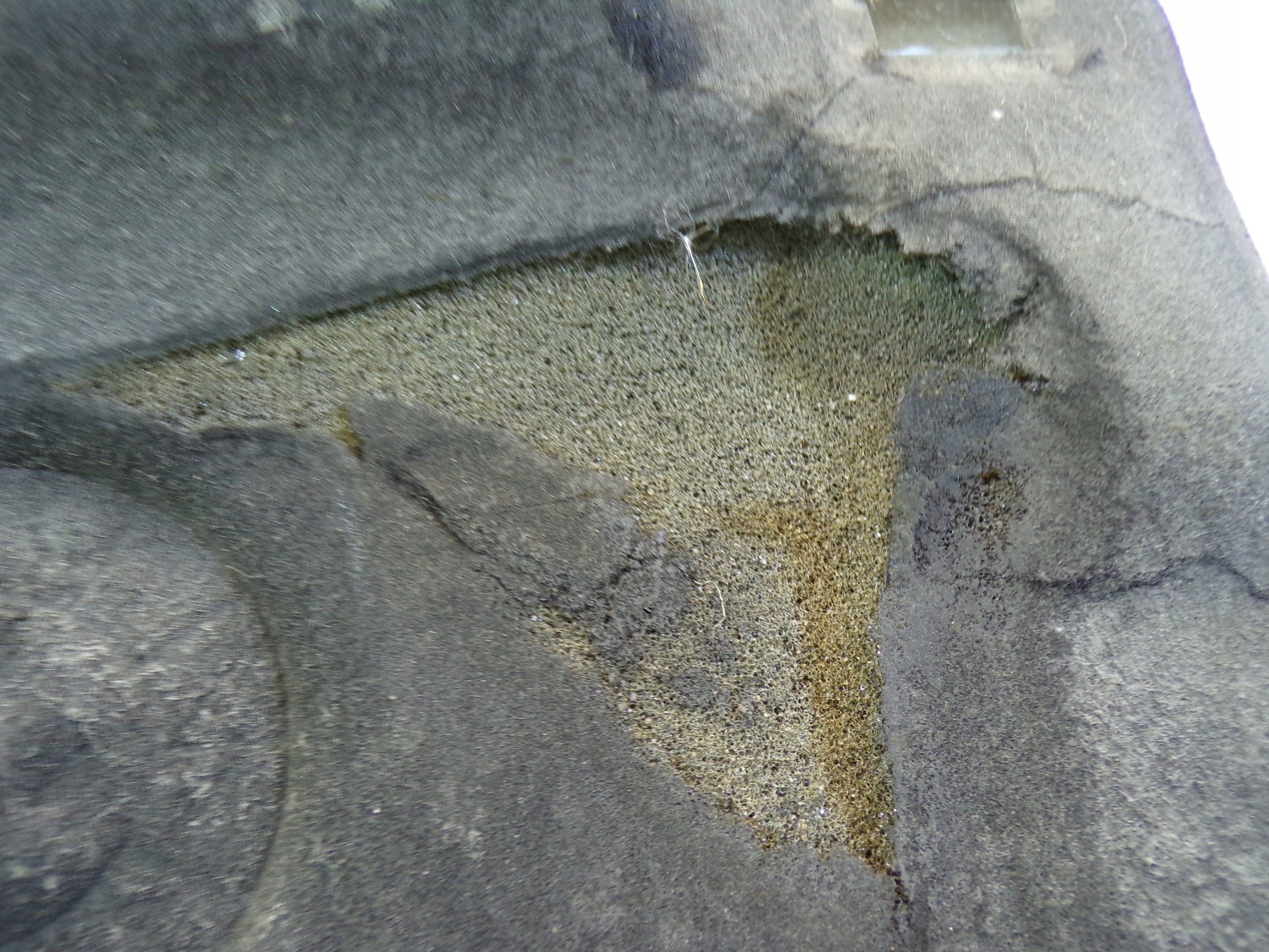 Insonorisation PODBITKA du capot Moteur VOLVO V50