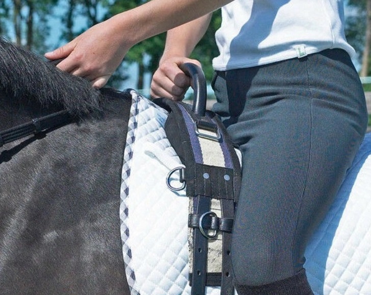 165cm -235cm PAS SZKOLENIOWY DO HIPOTERAPII BUSSE Kod producenta PAS DO LONŻOWANIA ĆWICZEŃ