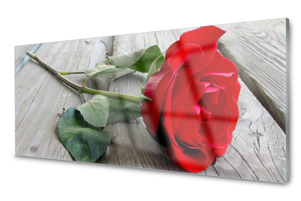 Sklenený panel do kuchyne Ruže Kvety 125x50
