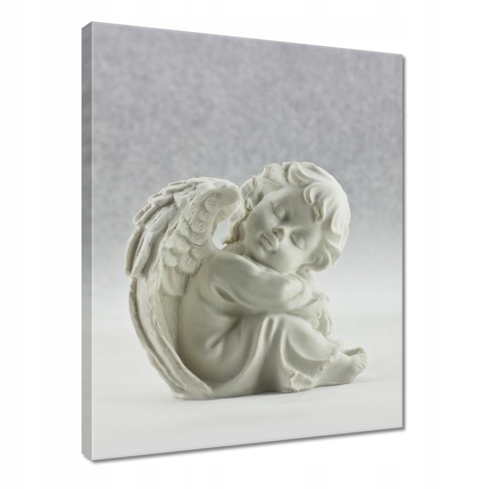 

Obrazy 30x40 Śpiący aniołek