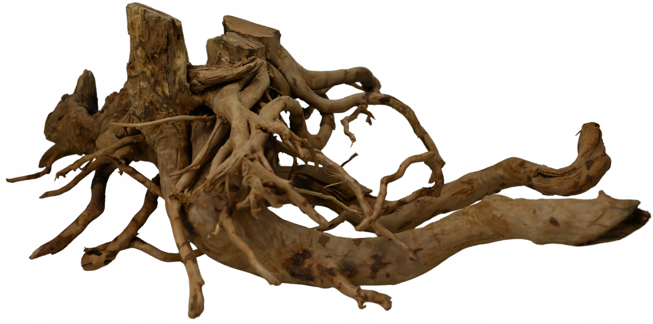 Petsco Naturalny korzeń do akwarium i terrarium Red Moore Wood #2015