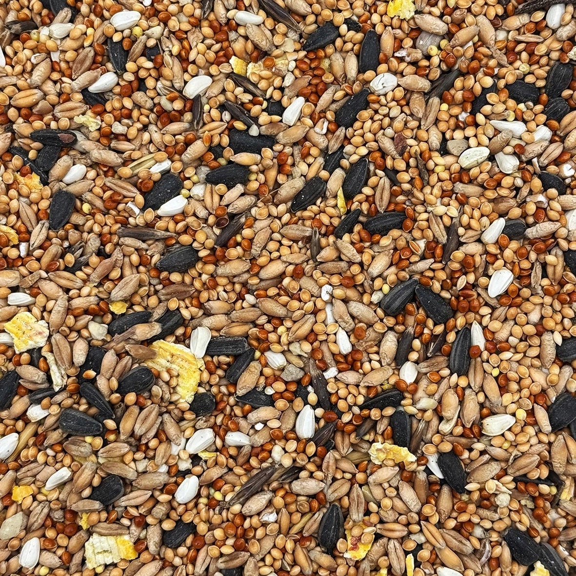 30kg Mix dla papug falistych i średnich Nimfa Rozella karma STANDARD Stan opakowania oryginalne