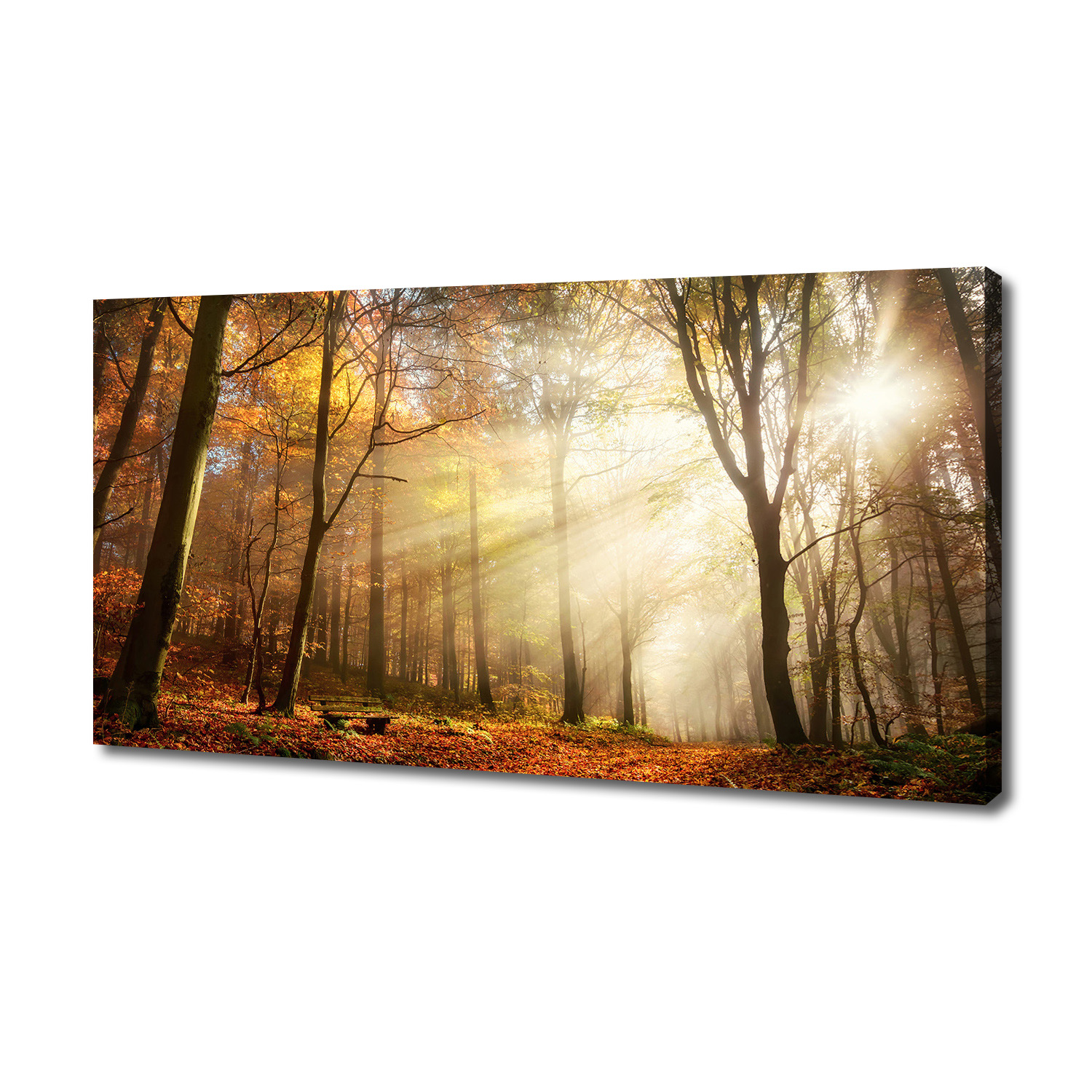 

Foto obraz duży na płótnie Mgła w lesie 140x70 cm