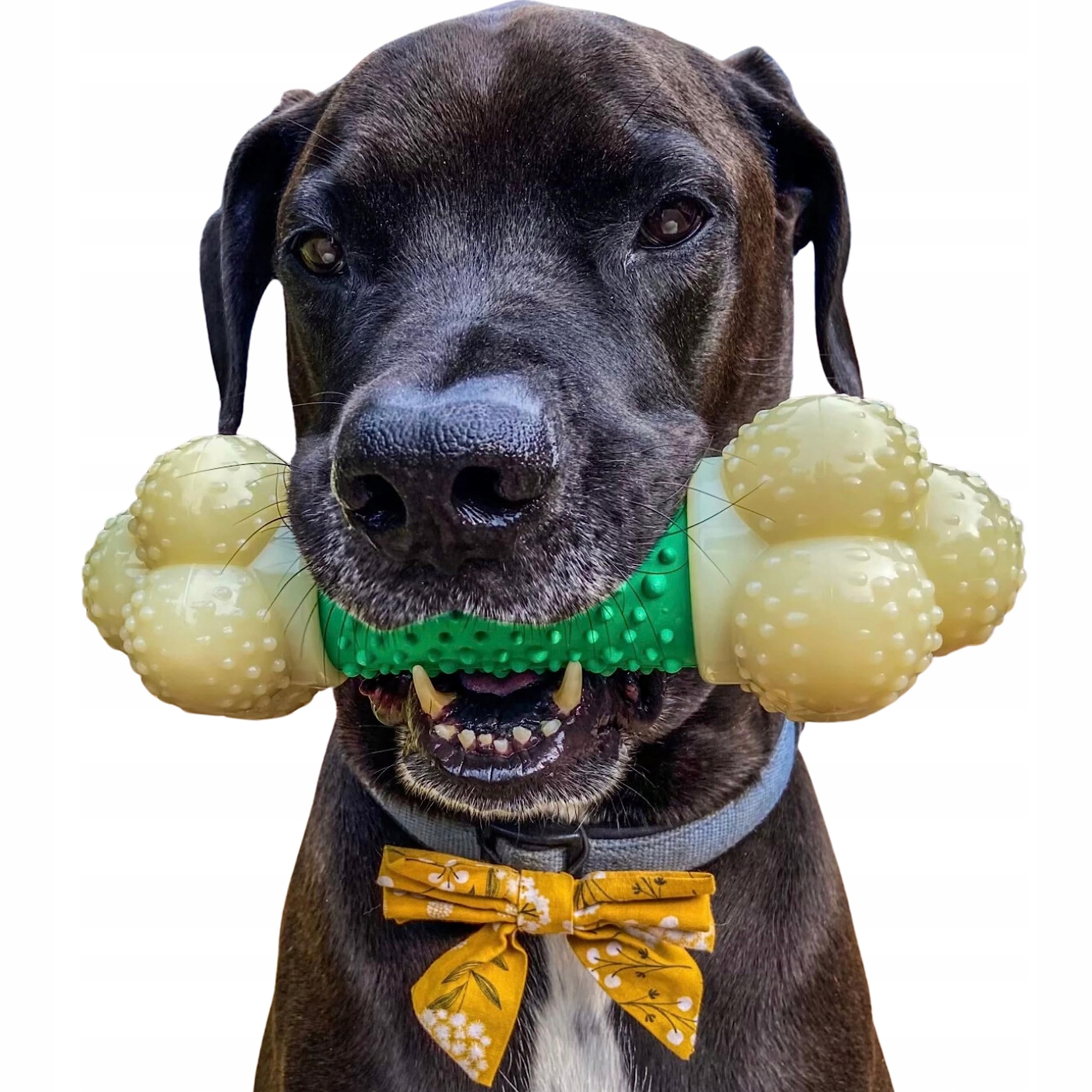 Levně Interpet Nylabone Souper XL Žvýkací kost pro psy