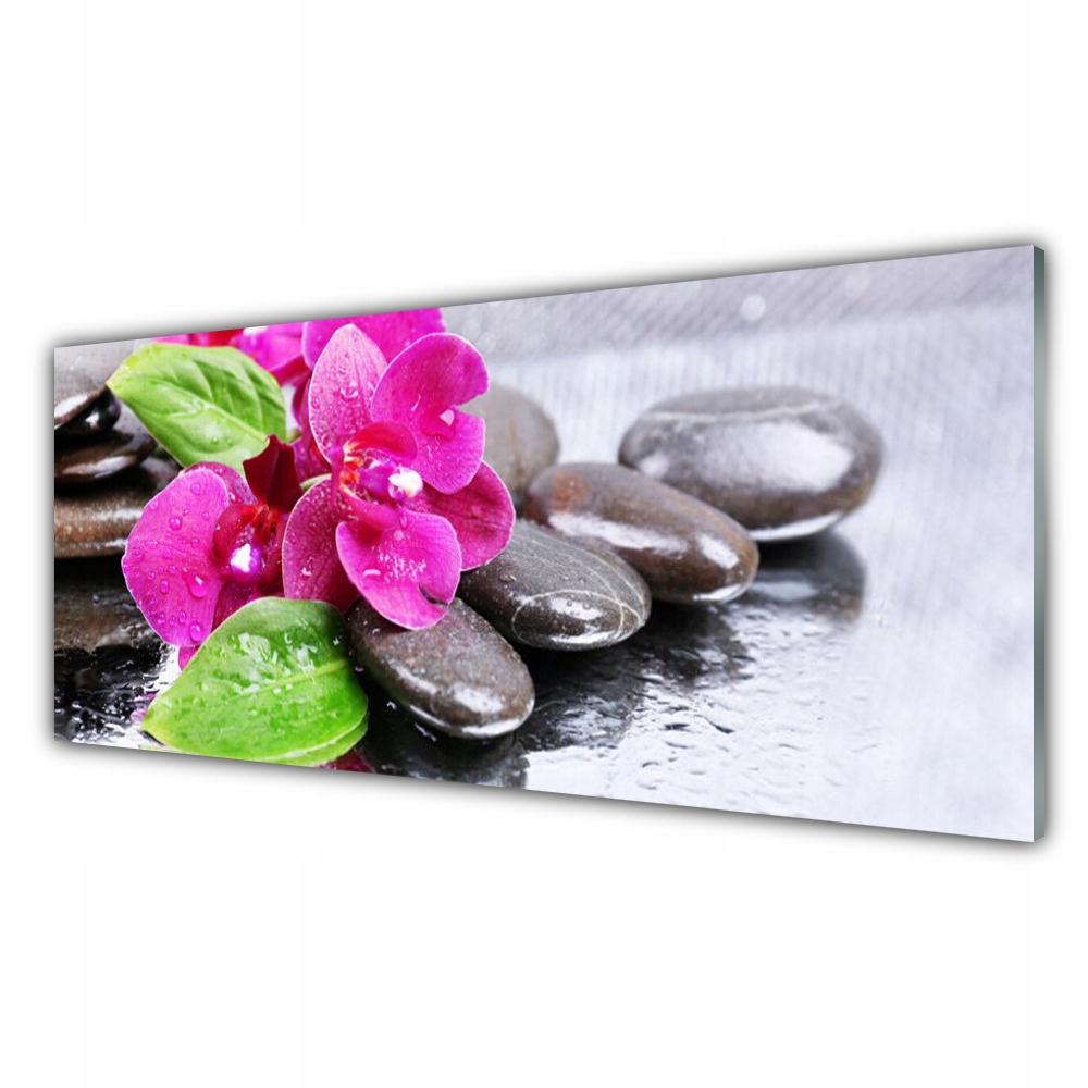 

Fotoobraz na ścianę 125x50 Kwiat Storczyk Roślina