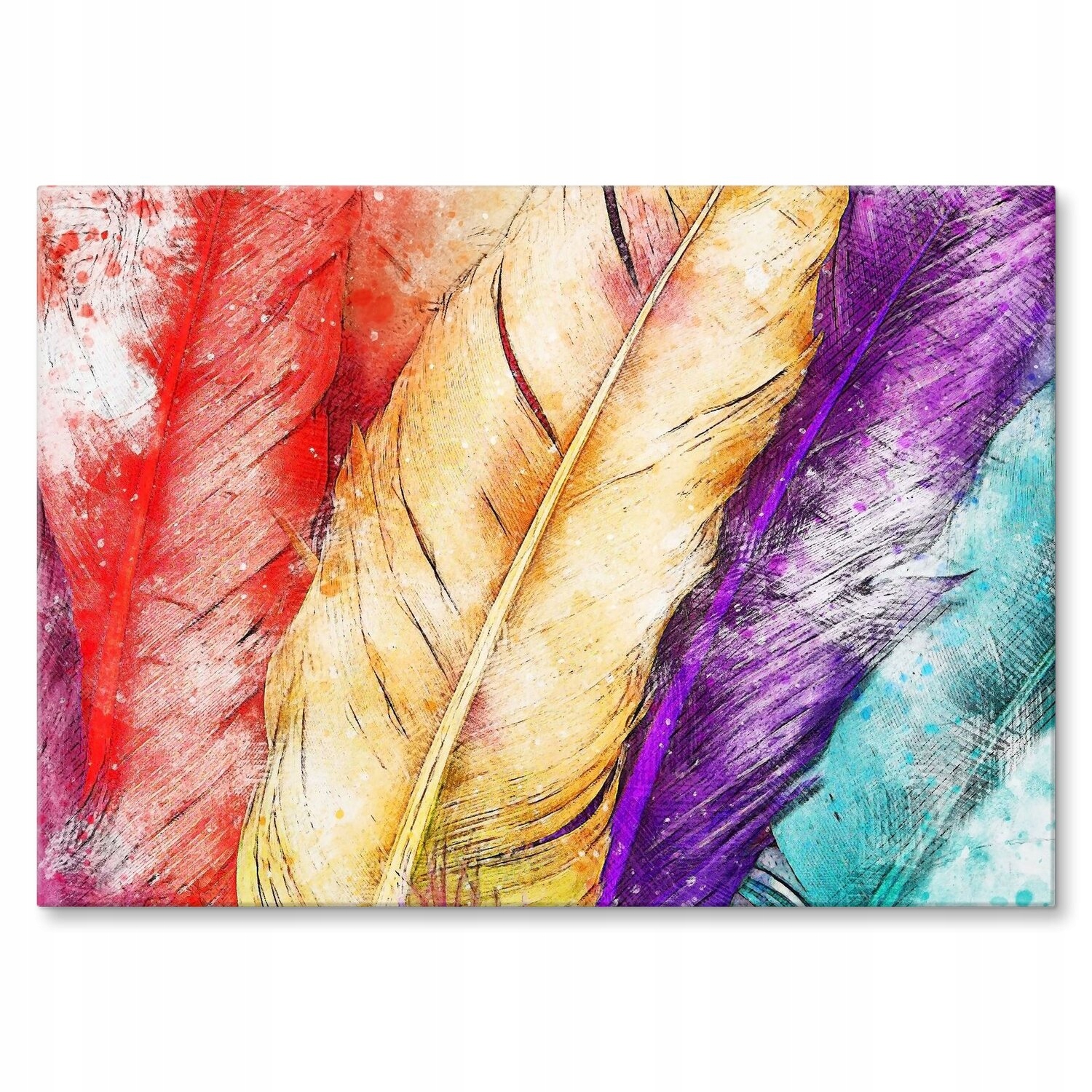 Kovový plakát Colour feathers Dárek 30 x 42 cm