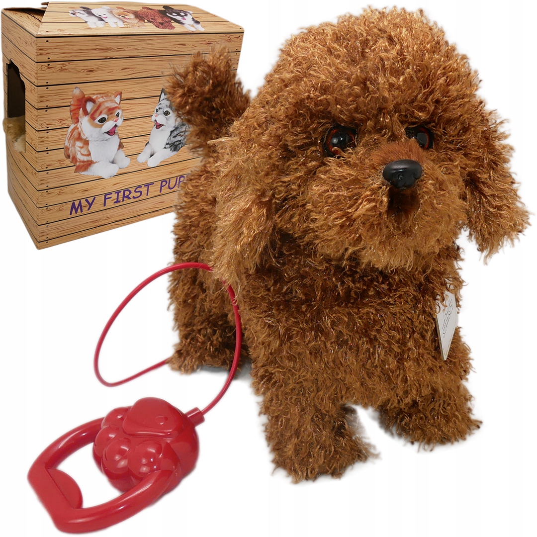 

Interaktywny Pies Na Smyczy pudel Chodzi Szczeka