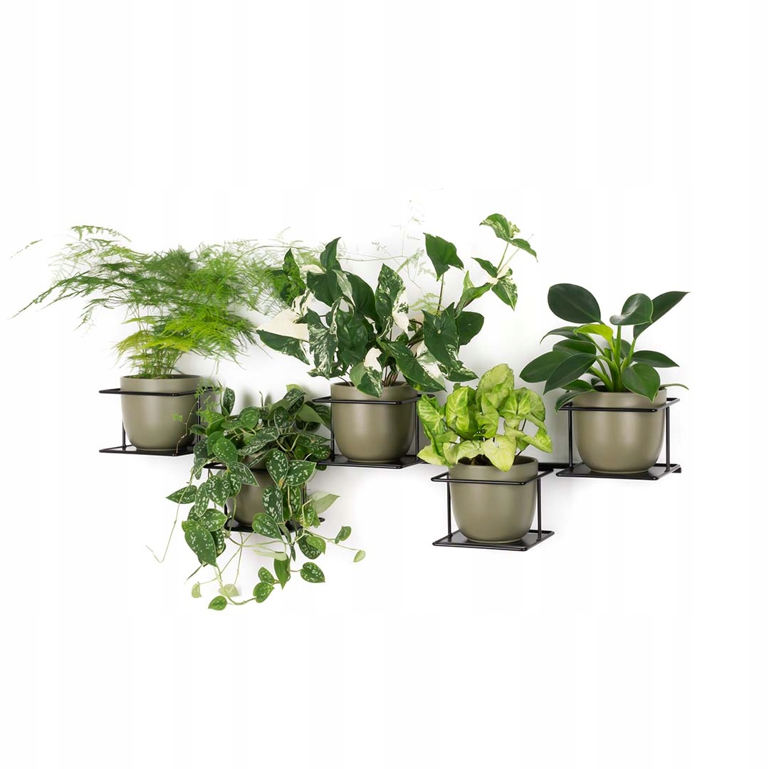 Držiak Na Kvetináč Džungľa 4 nástenný horizontálny 5 rastlín nástenná polica na kvety čierna