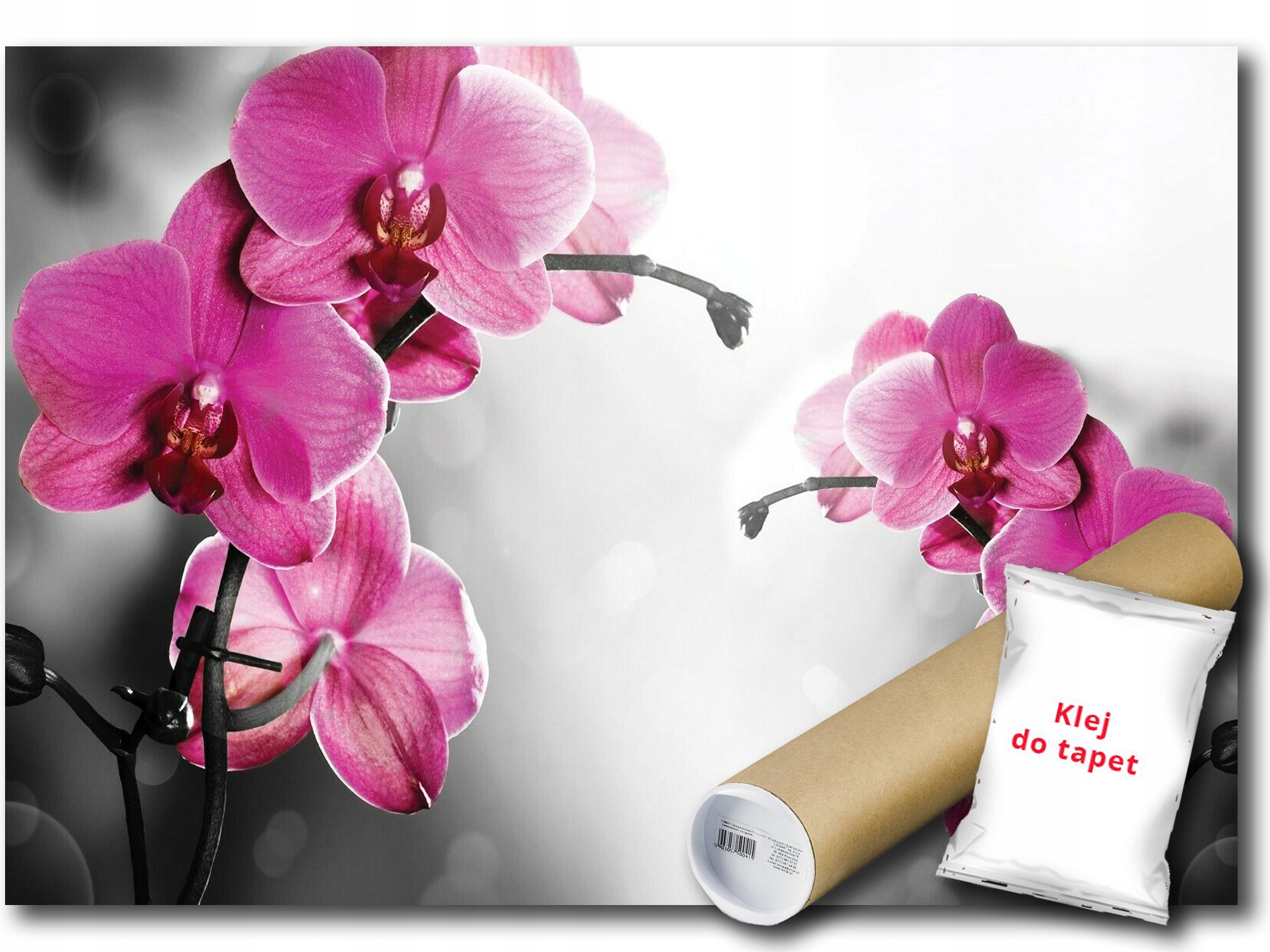 Vinylová Fototapeta Orchidea Orchidea 416x254