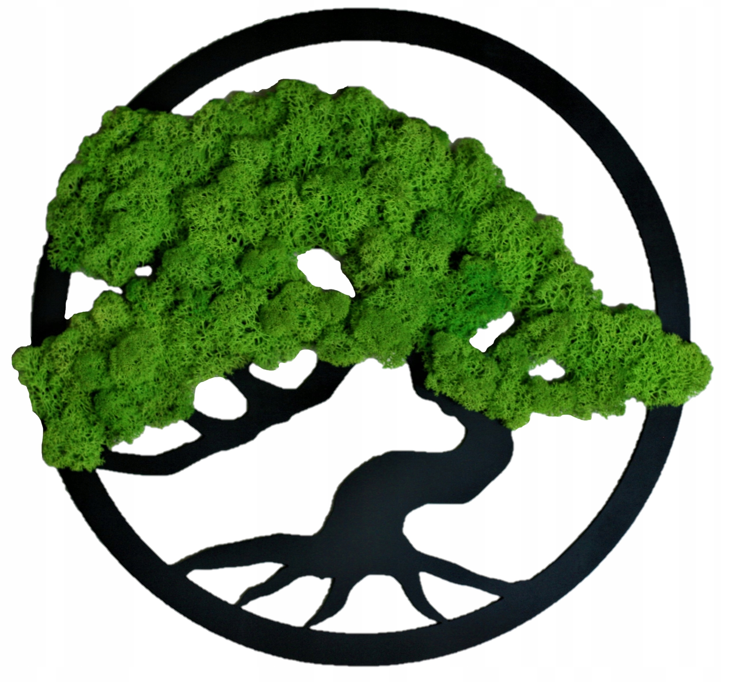 Bonsajový strom s mechem a chrobotkem Živý obraz 40 cm