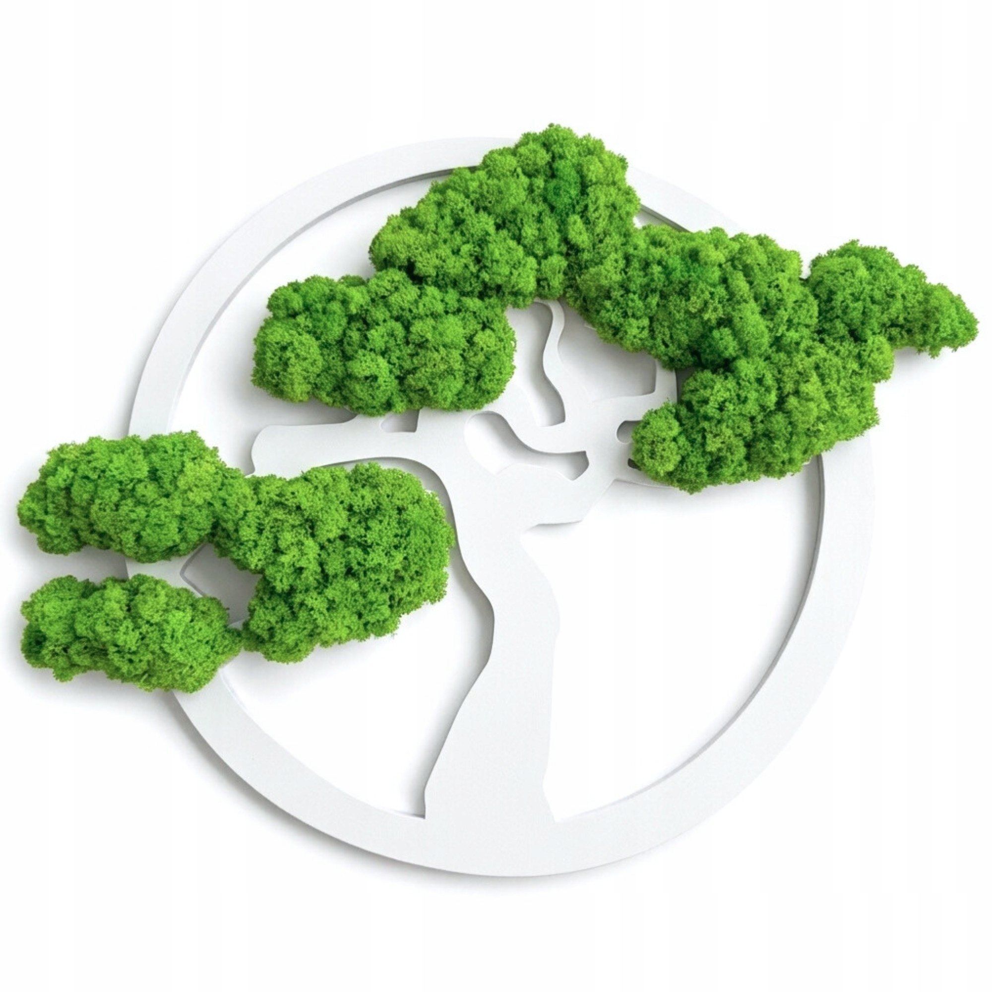 Stromek z mechu dekorativní Mech Chrobotek stromek štěstí života Bílý