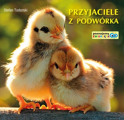 

Przyjaciele z podwórka