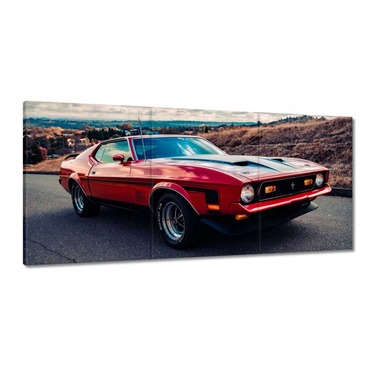 Obrazy 210x100 Mustang Mach 1 z Usa