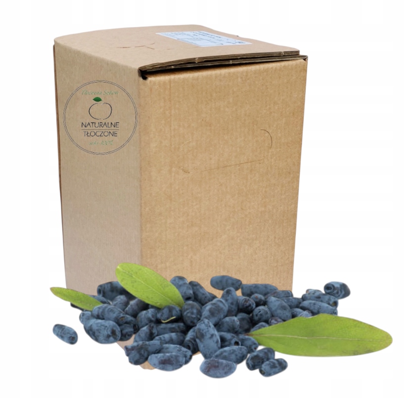 Levně Šťáva z kamčatských bobulí 100% 3 l v Kartonu (lisovaná, přírodní Nfc)