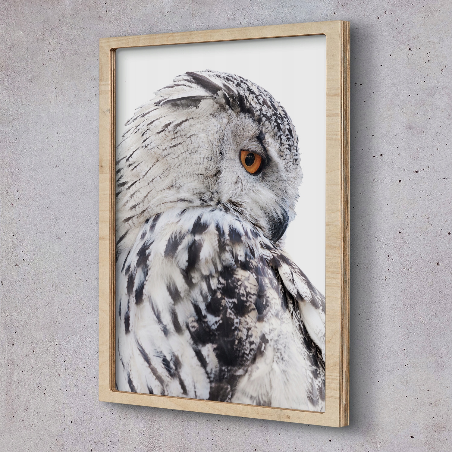 Obraz v rámu na zeď Sova pták peří 55x75 cm