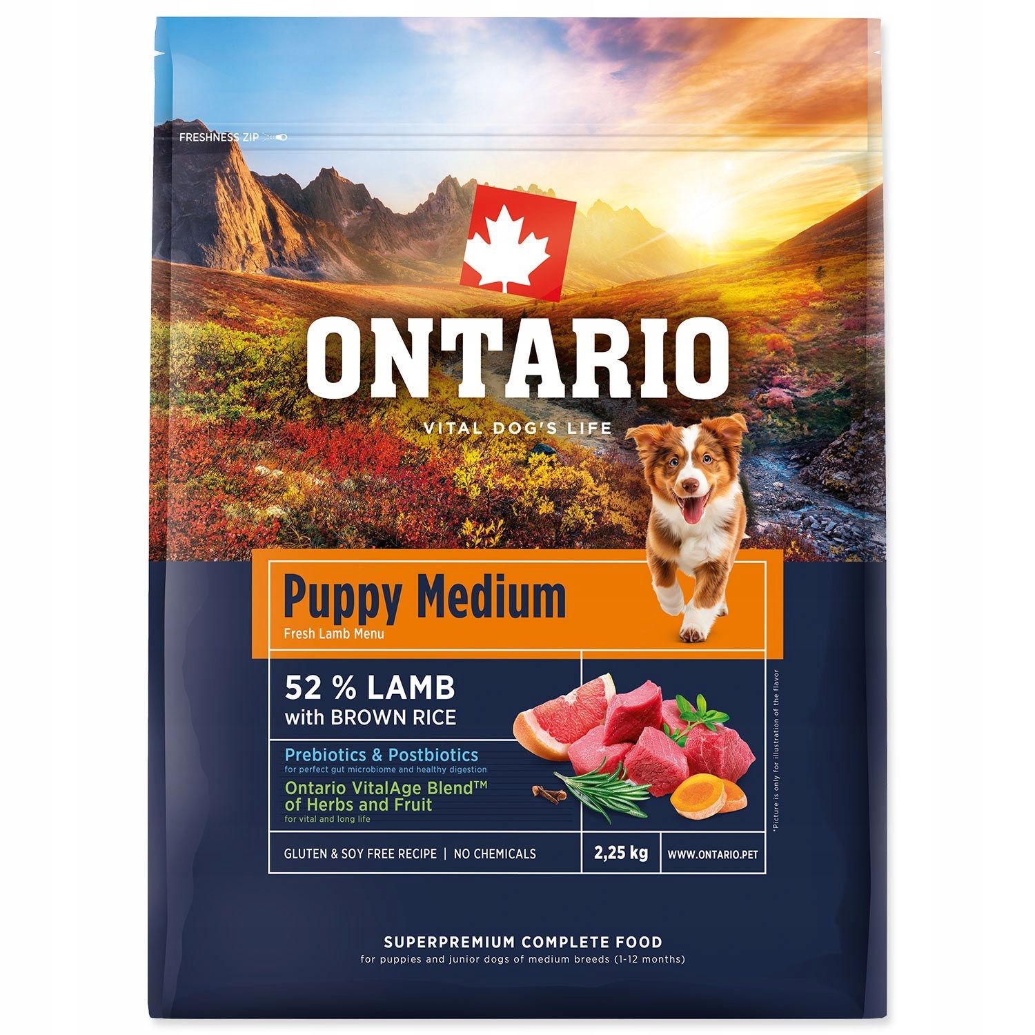 Levně Krmivo Ontario Puppy Medium Lamb & Brown Rice 2,25kg