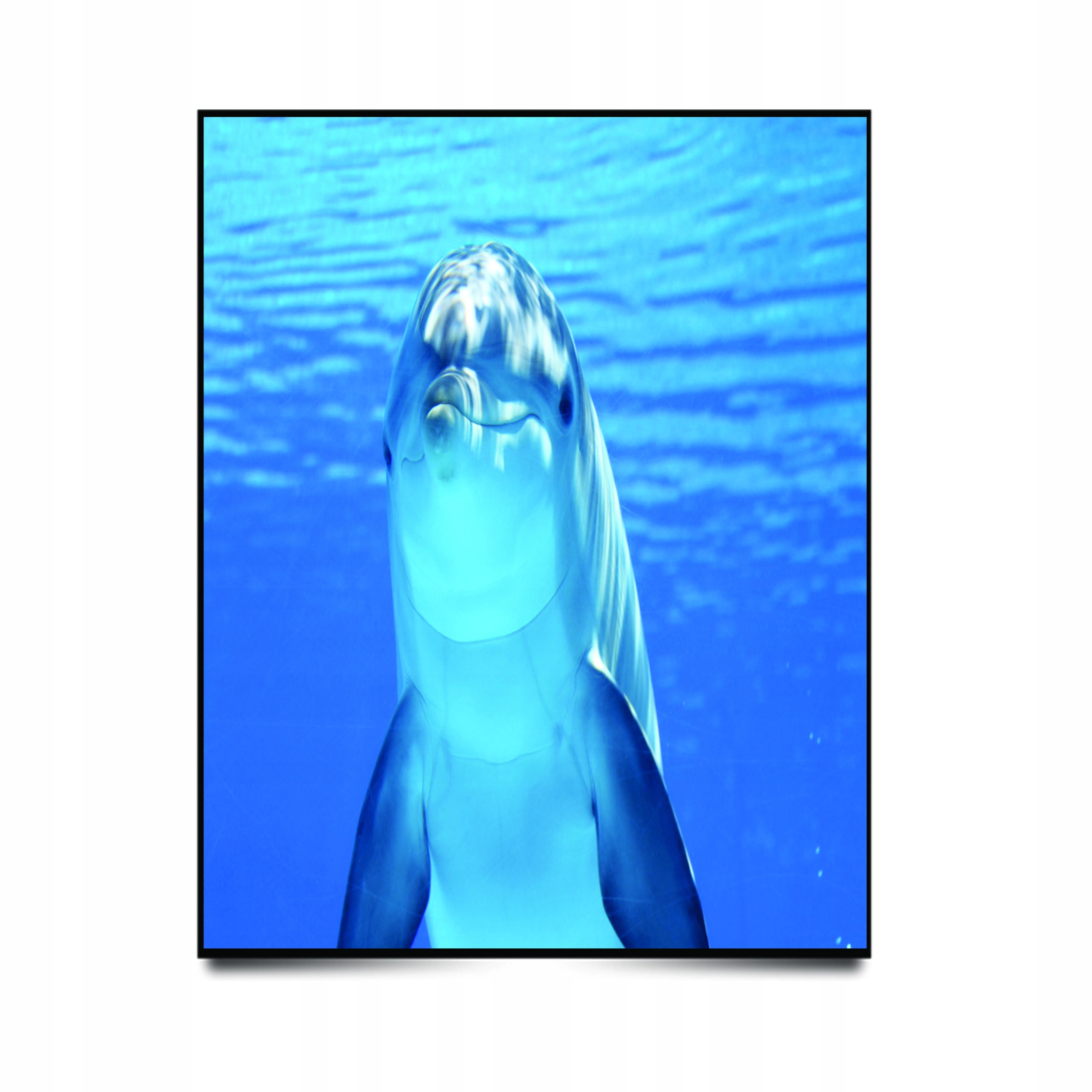 Plakat OBRAZ Piękny Widok Pejzaż Krajobraz ścienny