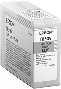 Epson Singlepack Photo Light Light Black T850900 UltraChrome Hd ink 80ml
