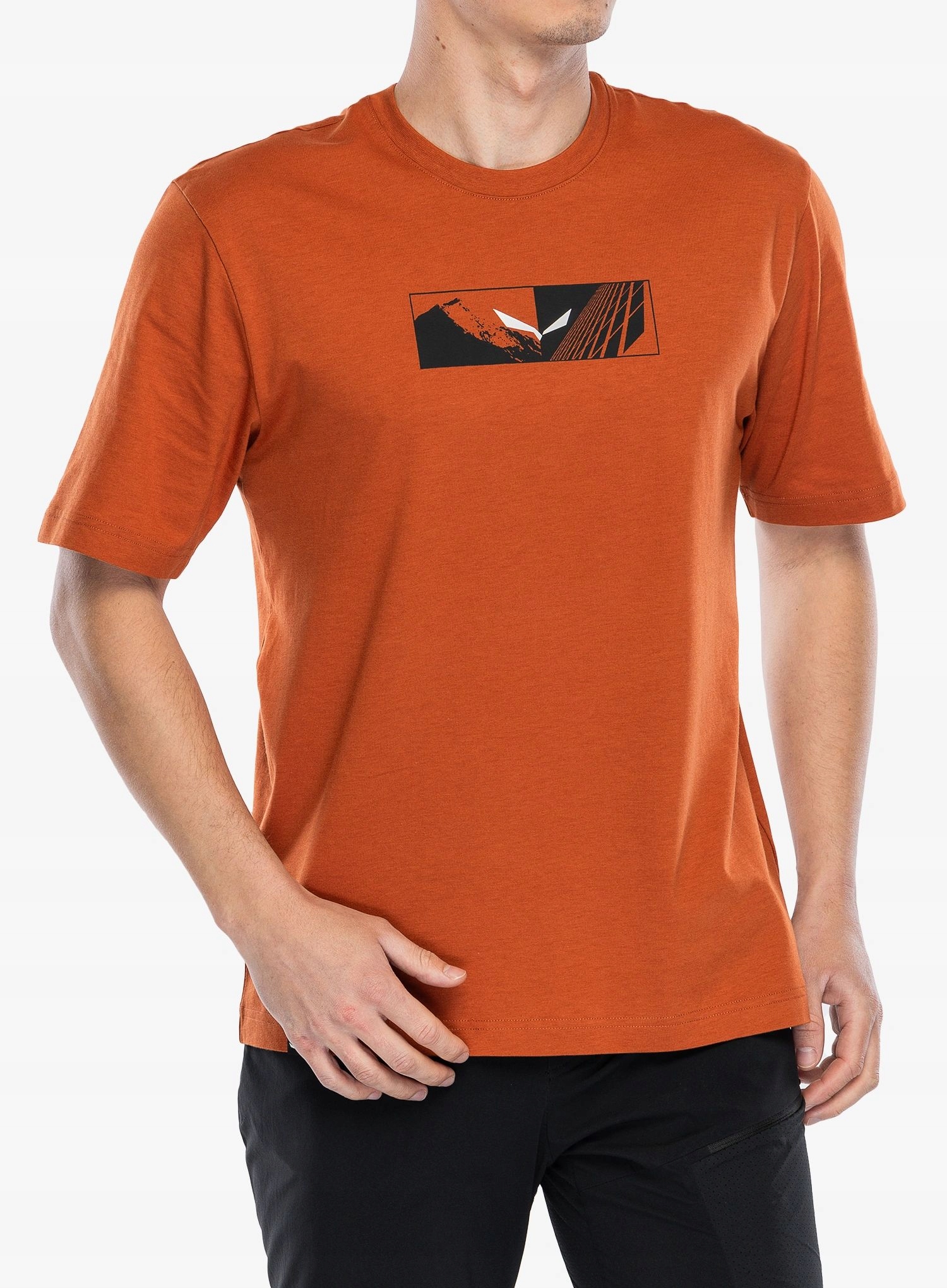 Tričko s potiskem Salewa Eagle Hybrid Loose T-Shirt bombay brown S