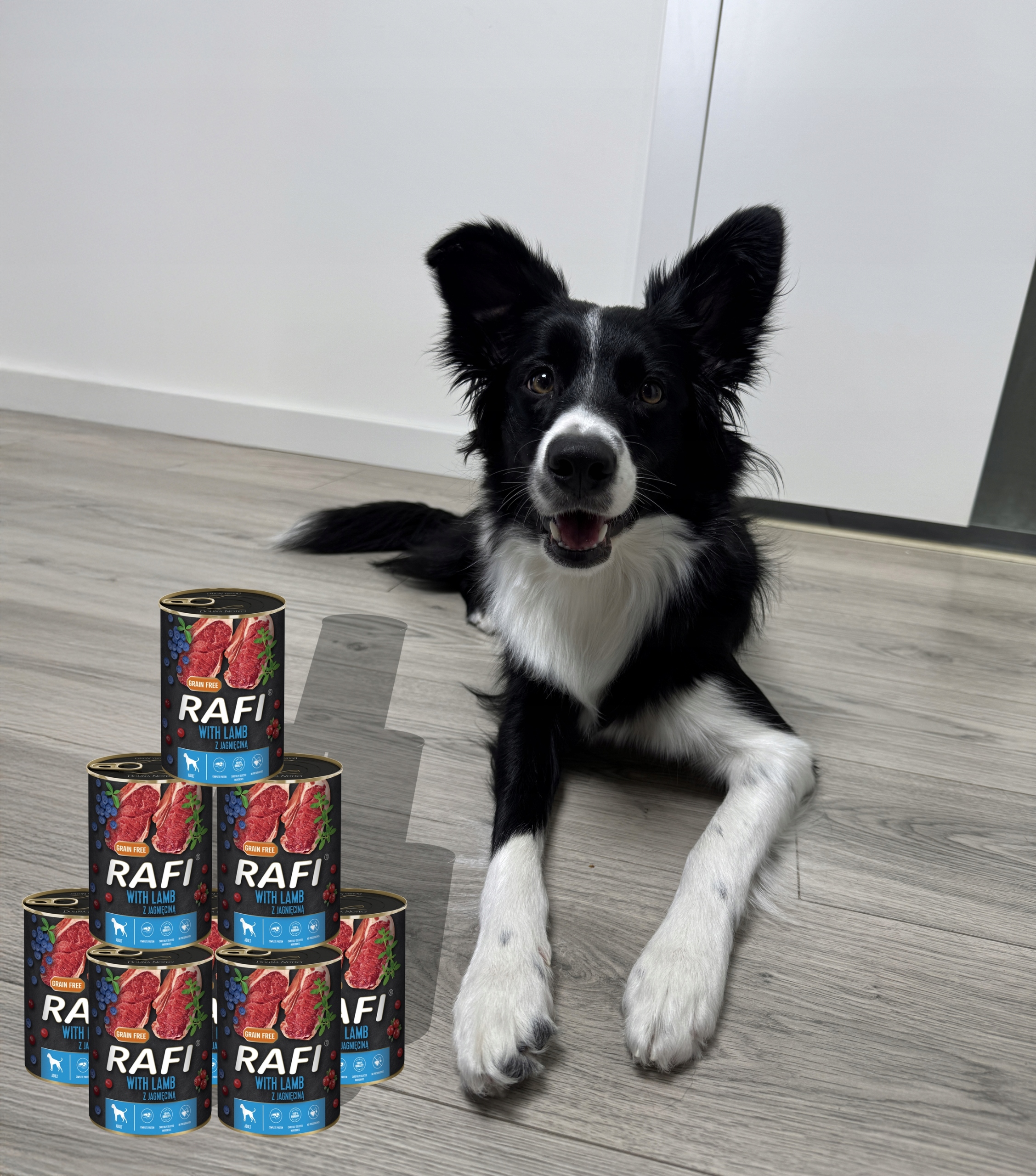 Zestaw 6x400g Karma Mokra Dla Psów RAFI MIX Smaków (Jagnięcina, Wołowina)