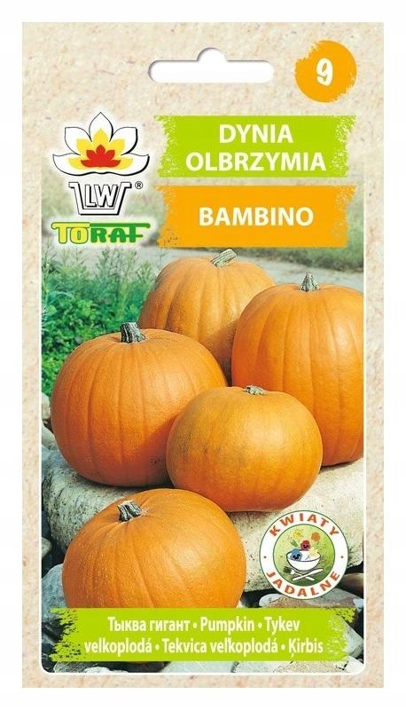 nasiona 5g DYNIA BAMBINO | TF1295 — 3
