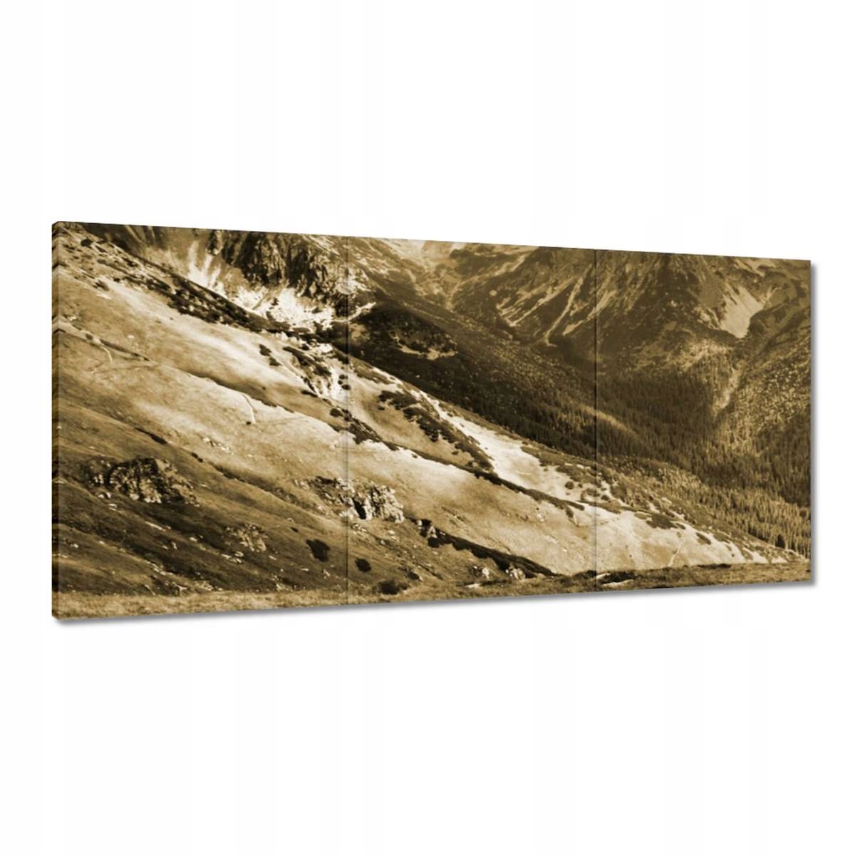 Obrazy 180x90 Tatry Poľské hory Pohľad