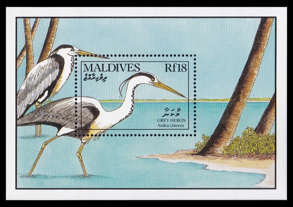 MALDIVES - PTAKI - 1990 r. - MNH(**)