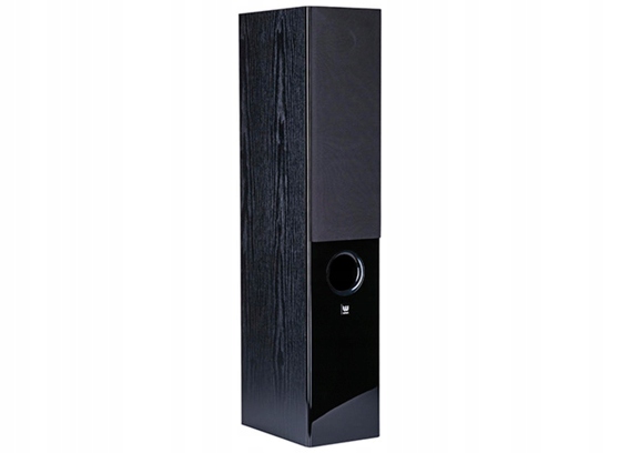 WILSON RAPTOR 5 KOLUMNY GŁOŚNIKOWE PODŁOGOWE HI-FI Wymiary 839 x 263 x 180 mm