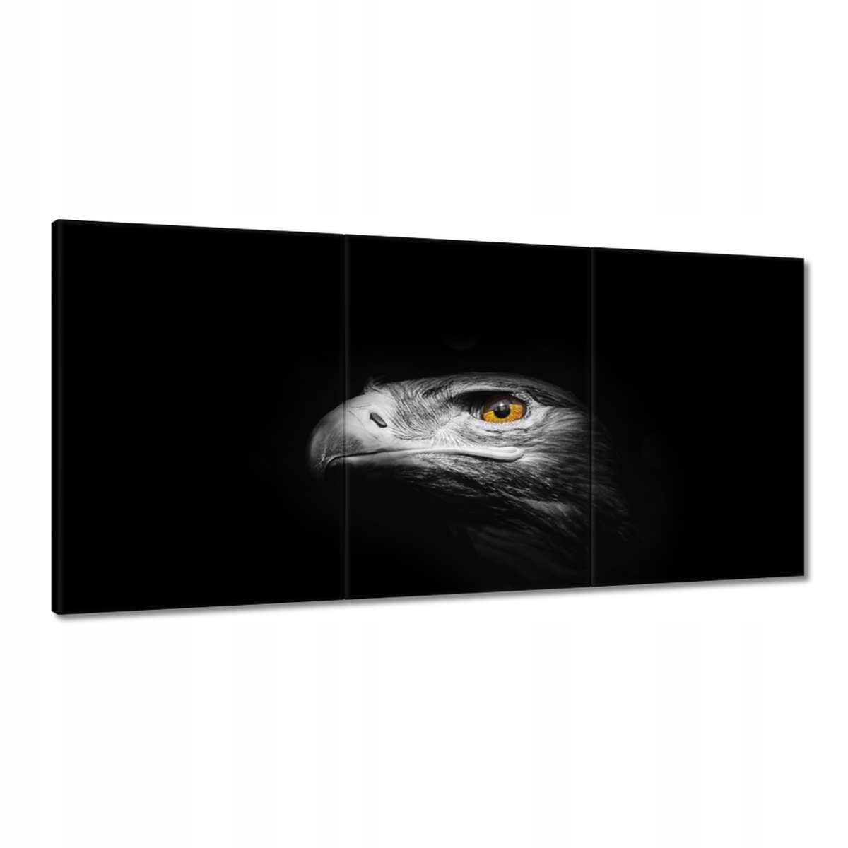 Obrazy 180x90 Útokový orol