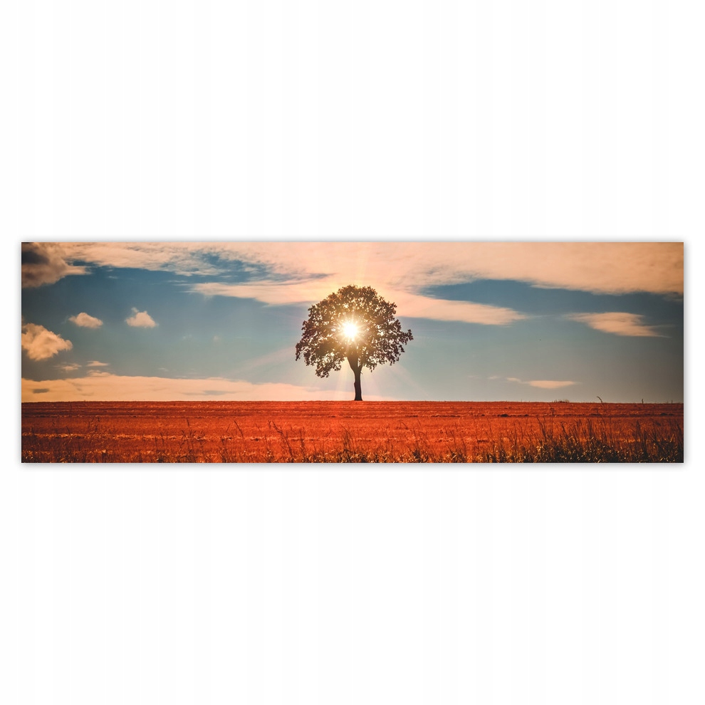 

Fototapety flizelina 312x104 Samotne drzewo