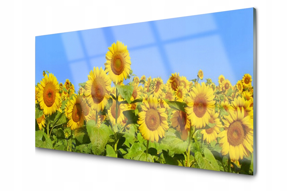 

Panel szklany dekor Słonecznik Kwiat 140x70