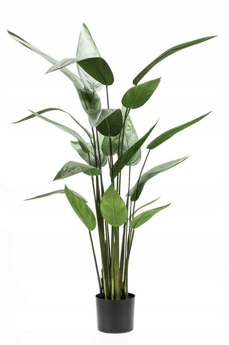 

efektowna sztuczna Helikonia 125cm zielona roślina