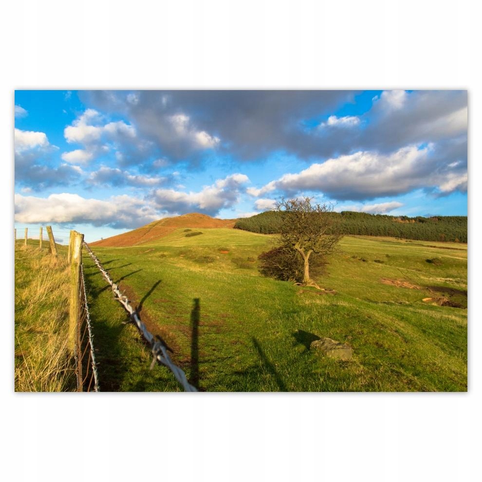 

Plakaty 60x40 Krajobraz z łąką