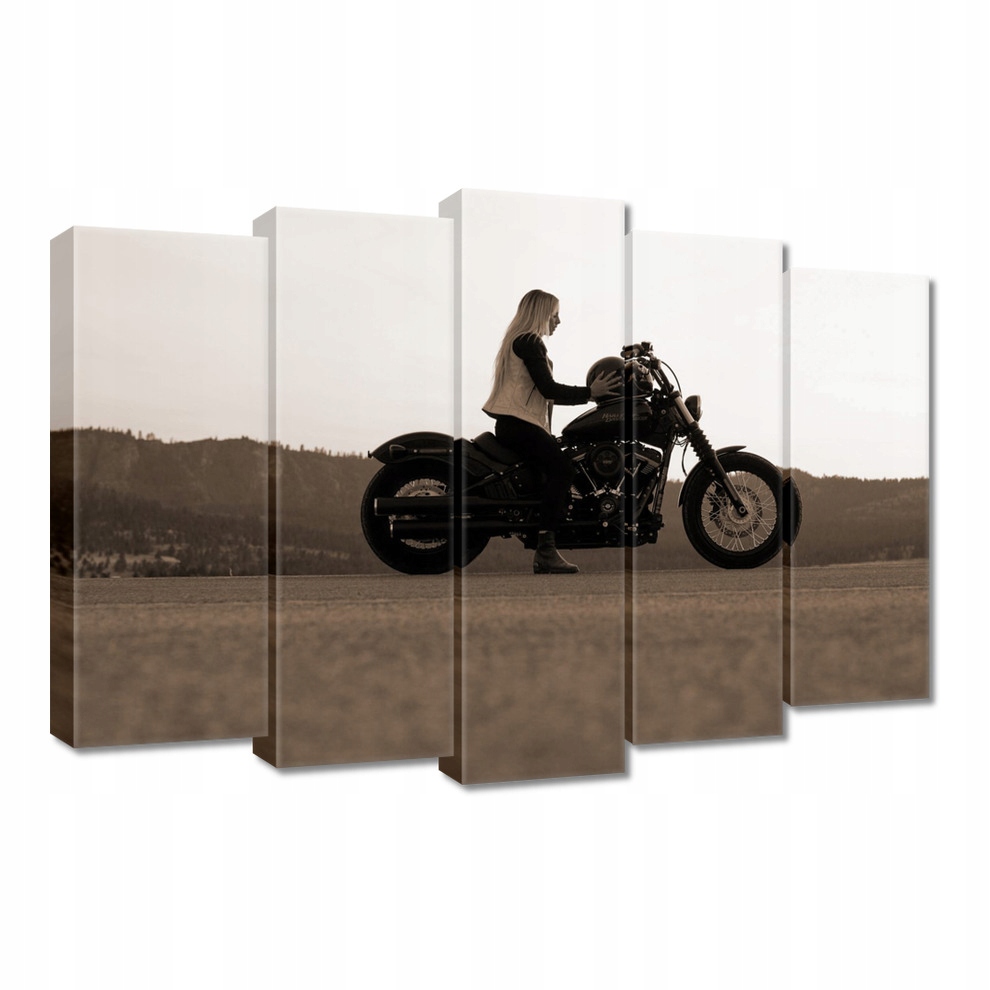 

Obrazy 70x50 Harley Davidson Motocykl