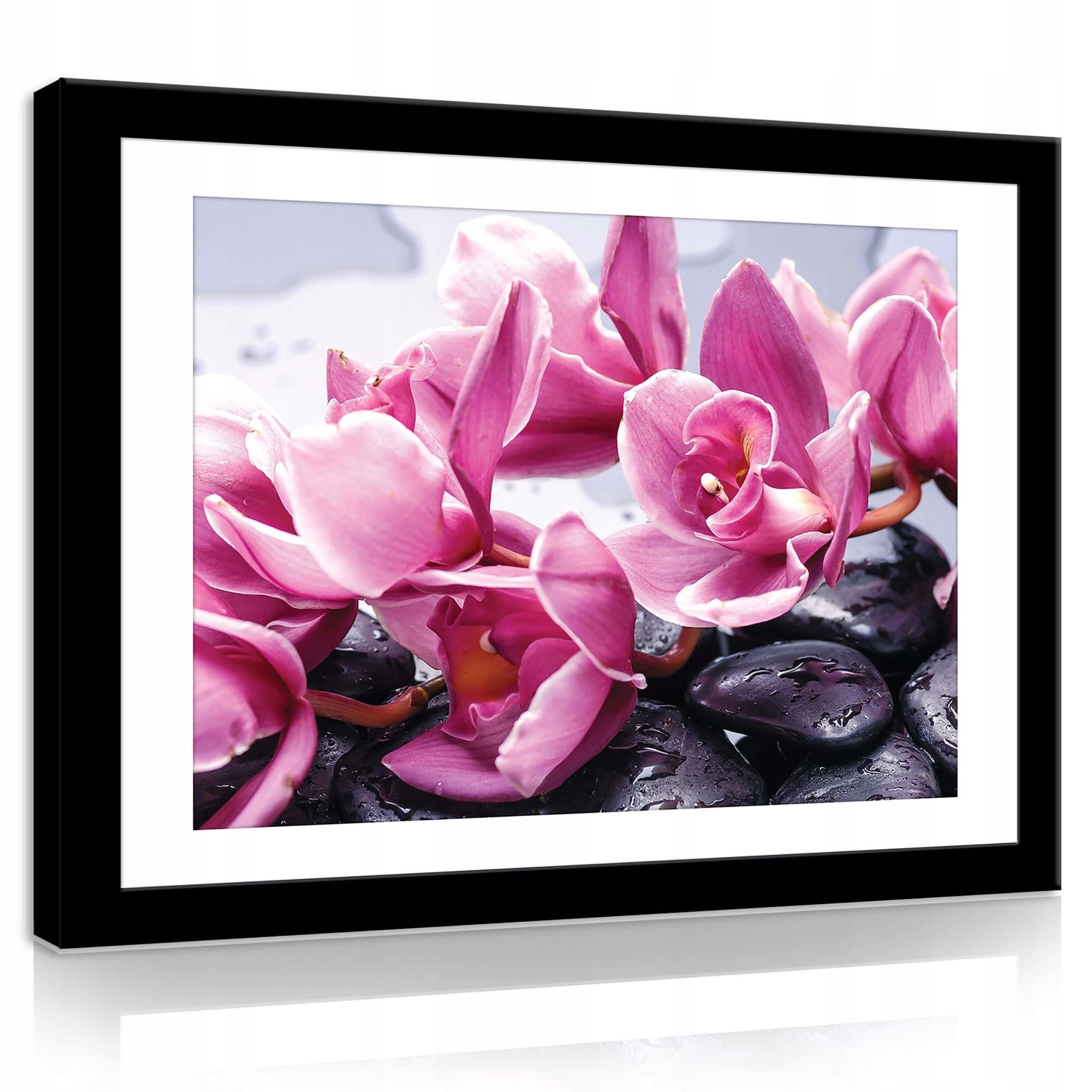 Obraz 80x60 Orchidej růžové kameny voda lázně relaxace příroda květiny