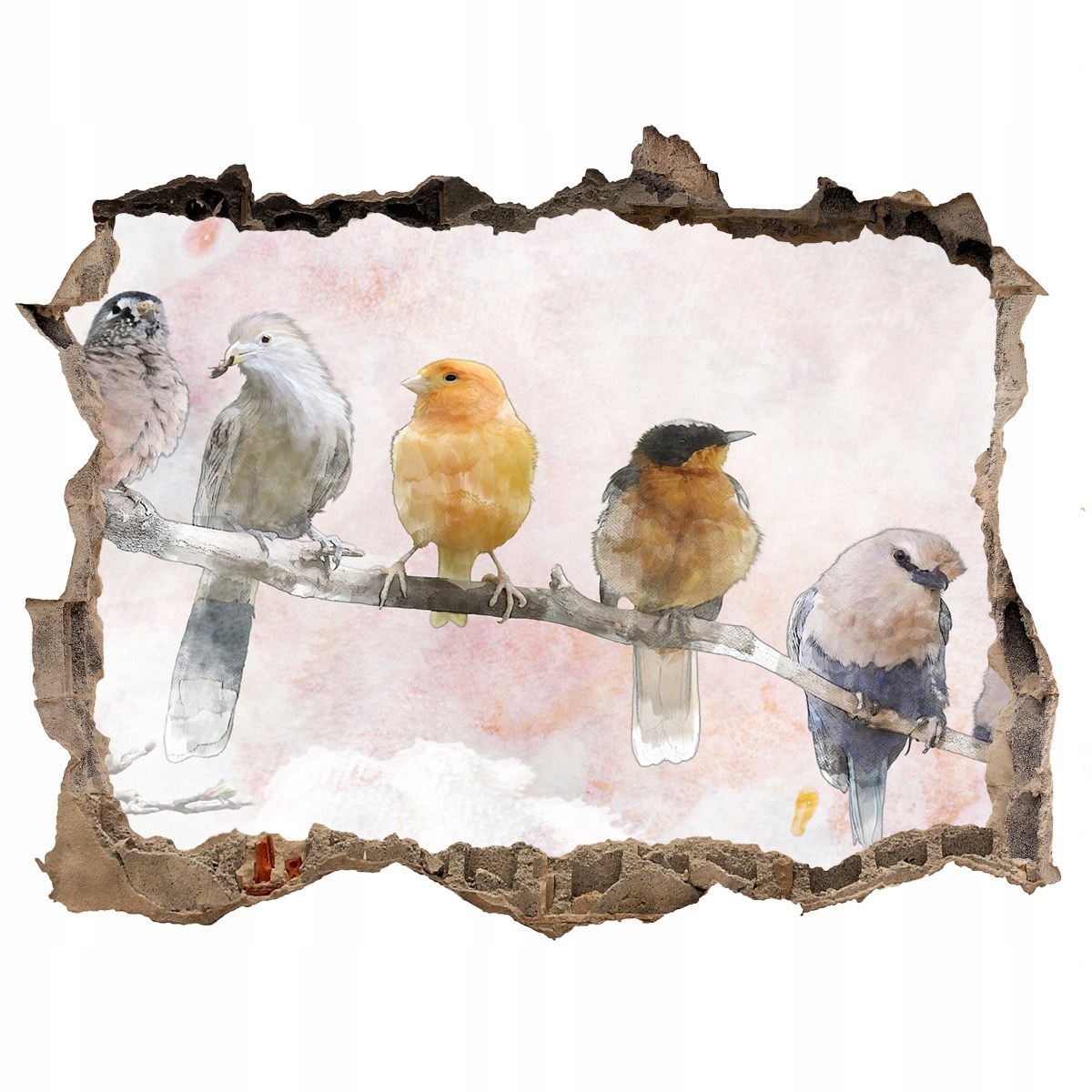 

Dziura 3d fototapeta Naklejka Ptaki na gałęzi