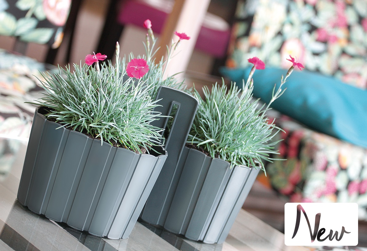 DONICZKA NA ŚCIANĘ BOARDEE WALL DDES280 ANTRACYT Kolor antracyt