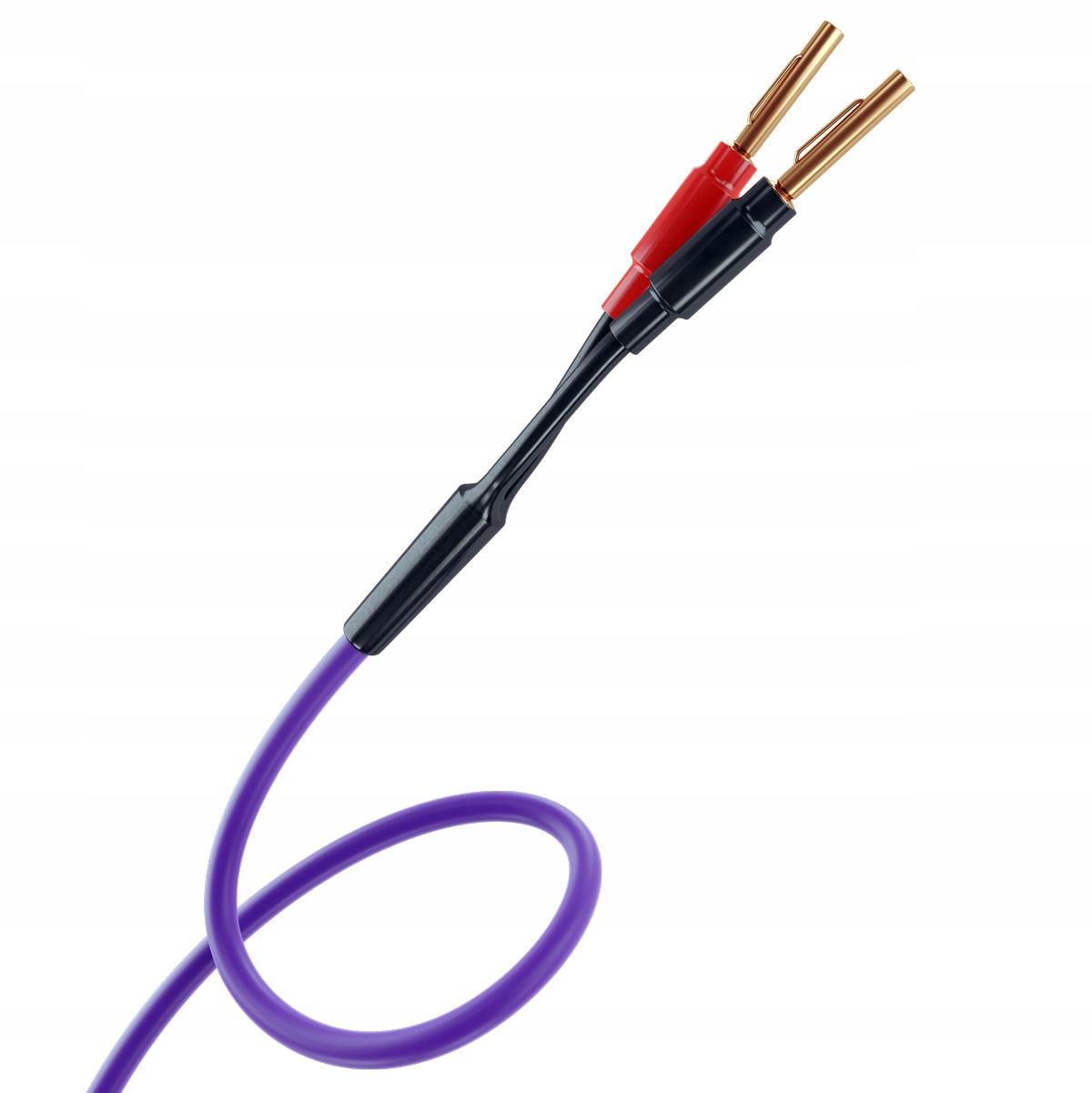 Melodika Purple Rain MDSC4025 - 2x3m Kod producenta MDSC4030