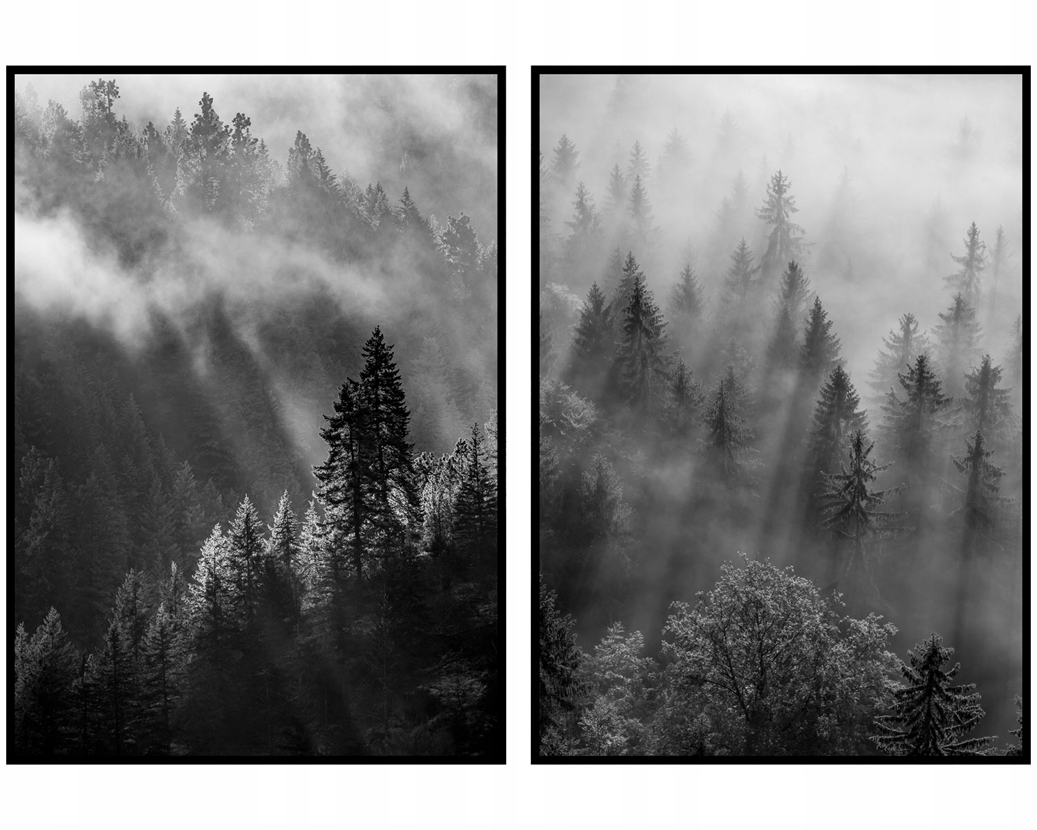 Diptych les mlha stromy plakáty na zeď 60x90 cm