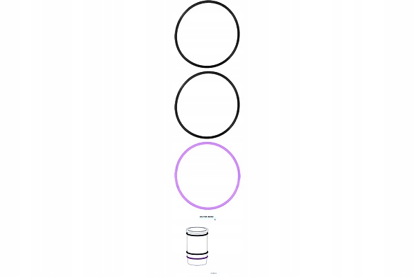 ZESTAW USZCZELEK TULEI CYLINDRA DAF CF CF 85 XF 105 XF 106 BOVA Producent części Victor Reinz