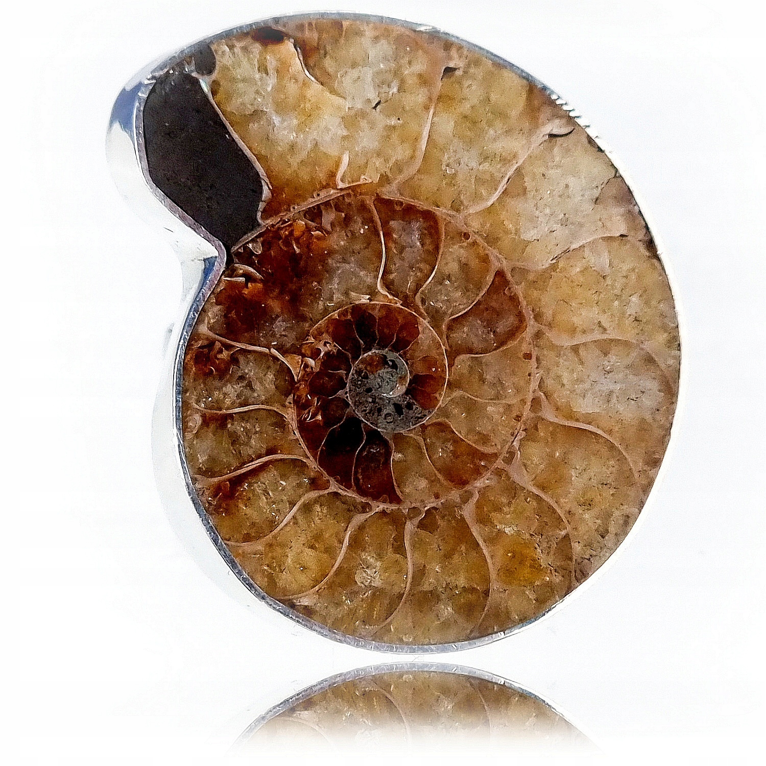 Amonit Originální Prstýnek Stříbro R 10-26 Unikát