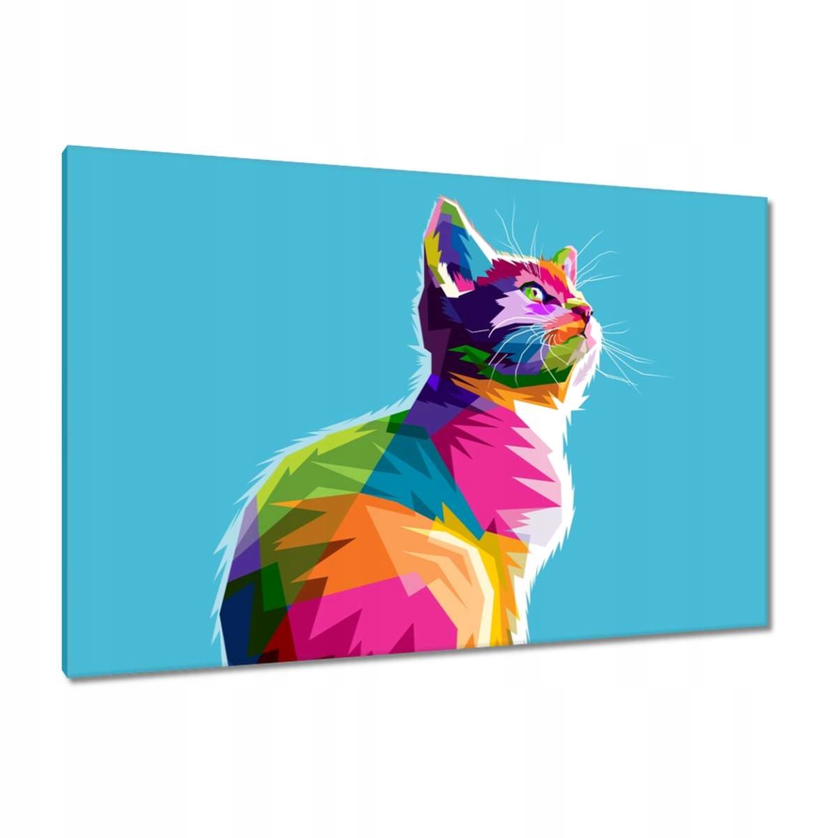 Obrazy 120x80 Kočička Kočky Kicia
