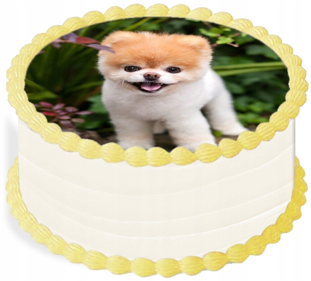 Levně oplatek na dort 14 cm Zvířata Pejsek Narozeniny