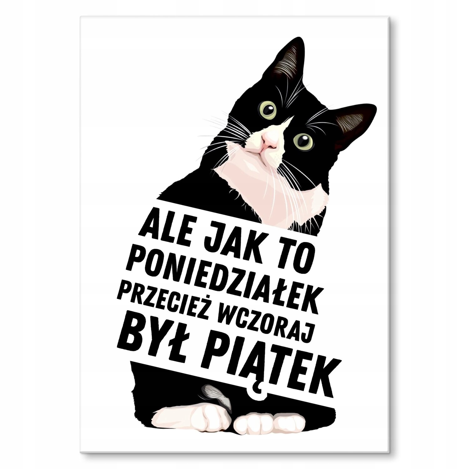 Kovový plakát Pondělí Šidítko Plech 30 x 42 cm Dárek